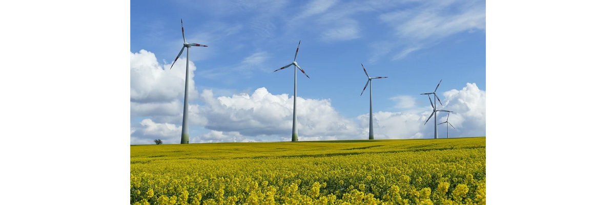 Le gouvernement fédéral accélère encore le développement de l’énergie éolienne dans le respect de la protection de la nature